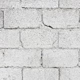 Researchers develop earthquake resistant coating