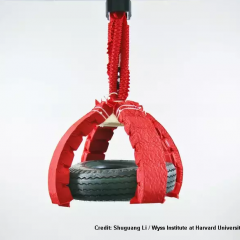 Soft robot muscles with origami skeletons can lift 1,000 times their own weight