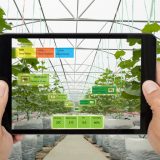 Montréal-based startup Motorleaf enables greenhouse industries to better plan their harvests with artificial intelligence