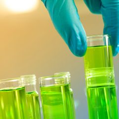 Des chercheurs utilisent E.coli pour fabriquer des biocarburants améliorés