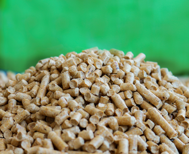 Wood pellets on a green background. Biofuels. Alternative biofuel from wood chips . The cat litter.