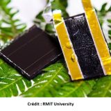 Cette nouvelle électrode à base de graphène pourrait augmenter la capacité de stockage de l’énergie solaire de 3000%