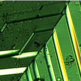 Ces feuilles conductrices ouvrent la voie à la fabrication d’appareils nano-électroniques reconfigurables