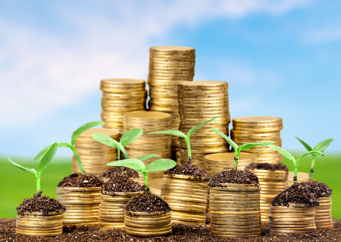 Coins in soil with young plants on blurred background