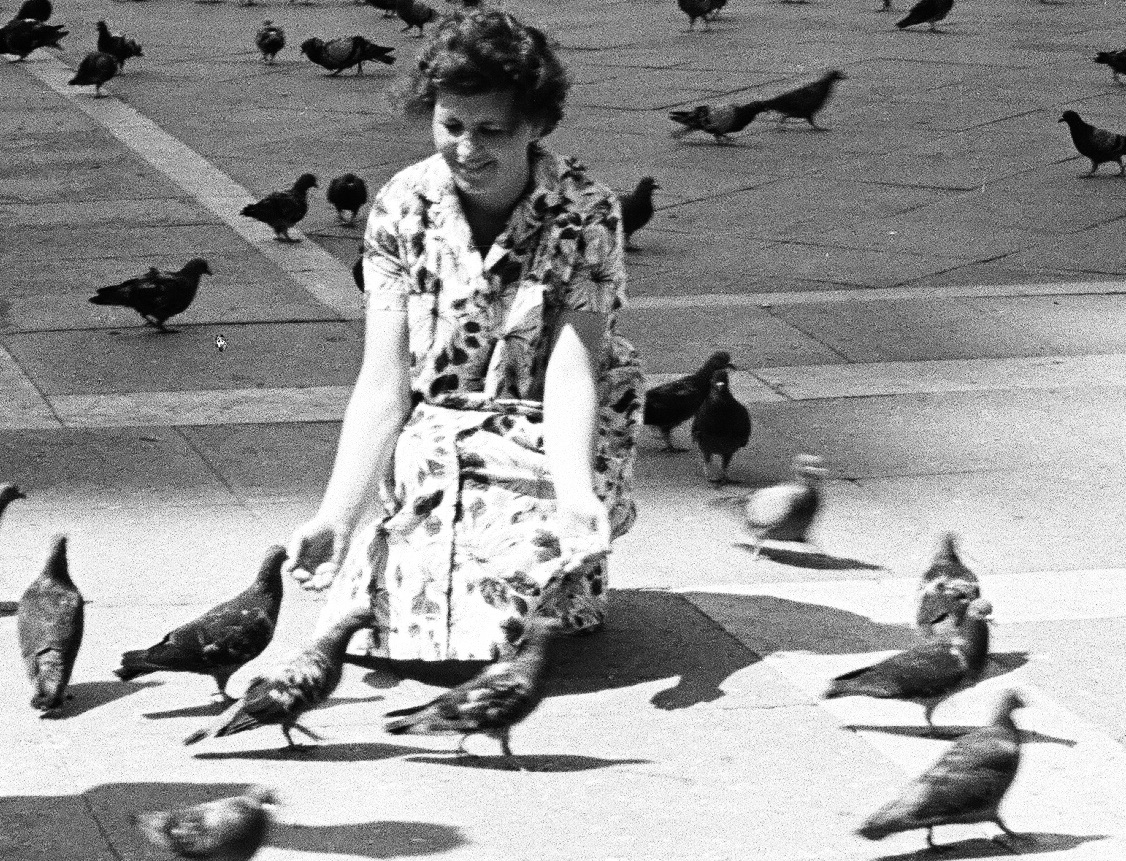 Une femme agenouillée nourrit les oiseaux.
