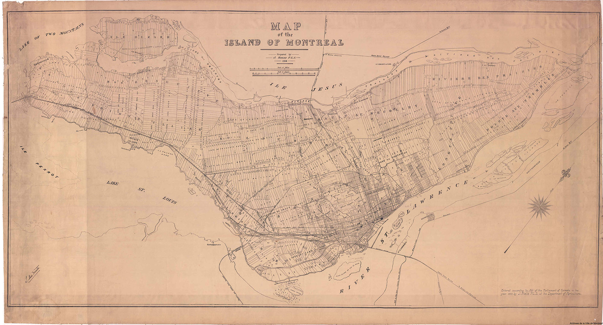 Plan ancien de l’île de Montréal sur lequel on reconnaît des lots, des rangs et des montées.