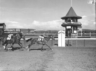 Photo noir et blanc montrant des jockeys conduisant leurs chevaux à vive allure lors d'une course sur la piste de l'hippodrome Mont-Royal. À l’arrière-plan une tourelle à deux étages avec des observateurs jumelles en main et un tableau d'affichage.