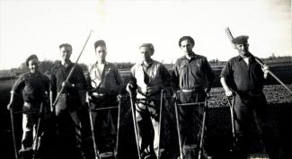 Six hommes travaillant aux champs avec leurs outils de travail. 
