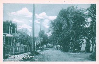 La carte postale montre l’avenue L’Archevêque vers 1930. La somptueuse maison à la gauche sert de résidence et de bureau de consultation au premier médecin de Montréal-Nord, Ovide Clermont.
