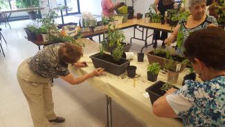 Dans une grande salle, des bacs et des pots de plantes et de fines herbes sont répartis sur des tables. Quelques femmes sont debout autour des tables.