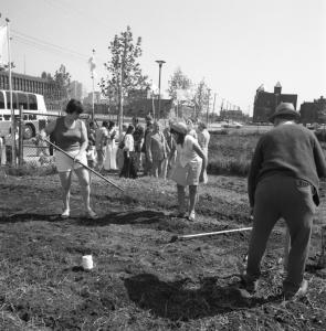 Deux femmes et un homme raclent une parcelle d’un jardin. Un groupe de visiteurs est à l’arrière-plan.