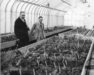 Photographie du frère Marie-Victorin (à gauche) et Henry Teuscher (à droite) dans une serre.