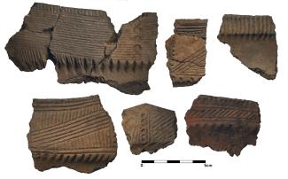 Planche montrant des tessons de poteries variées provenant du site Dawson.