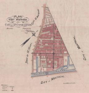 Plan coloré de la cité de Sainte-Cunégonde en 1890