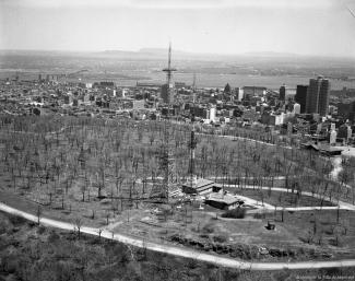 Photographie aérienne en noir et blanc montrant le dessus du mont Royal presque entièrement déboisé. La ville est visible au loin. 