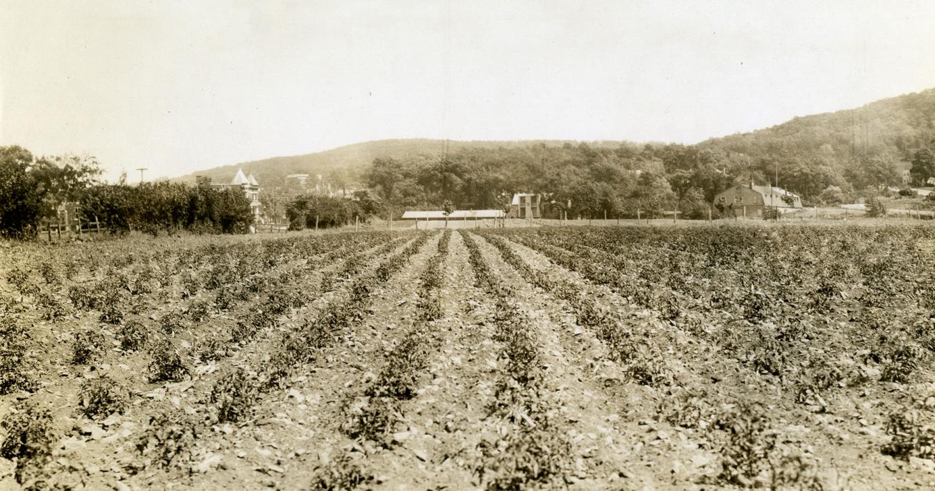 L’agriculture à Montréal au XXe siècle | Encyclopédie du MEM
