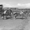 Photo noir et blanc montrant des jockeys conduisant leurs chevaux à vive allure lors d'une course sur la piste de l'hippodrome Mont-Royal. À l’arrière-plan une tourelle à deux étages avec des observateurs jumelles en main et un tableau d'affichage.