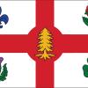 Le drapeau de la Ville de Montréal reprend les principaux symboles héraldiques des armoiries : la croix héraldique de gueules sur fond blanc, les quatre fleurs emblématiques aux quartiers et le pin blanc au centre.