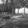Photo en noir et blanc d’un parc avec de grands arbres sur le bord de l’eau. Deux hommes sont assis sur un banc et un autre homme marche. Des réservoirs à mélasse sont situés à l’arrière-planà gauche de la photo.