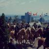 La cavalerie de la police de Montréal au belvédère du mont Royal
