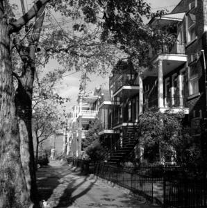 Photo en noir et blanc montrant les façades de triplex, le trottoir et des arbres d’une rue du quartier La Petite-Patrie.