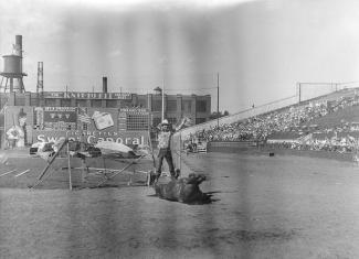 Un cow-boy lève les bras au ciel en signe de victoire à côté d’un cheval couché sur le dos lors d’un rodéo. Nous remarquons la manufacture Grover Mills Ltd. Knit to Fit à l’arrière-plan.
