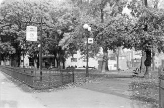 Photo en noir et blanc d’un parc urbain avec plusieurs arbres matures et des édifices en arrière-plan.