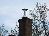 Photos des chemines : Regroupement QubecOiseaux