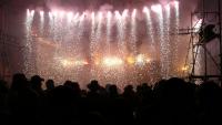 Une foule assiste à une pluie de feux d'artifices lors d'un spectacle.