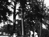 Des femmes et des enfants profitent des espaces verts en se baladant dans un sentier du parc du Mont-Royal.