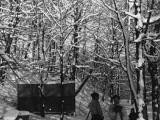 Dans un sentier enneigé du parc du Mont-Royal, deux skieurs font la conversation tandis que, plus loin sur la droite, un homme et une femme se baladent à pied. Les arbres sont couverts de neige.