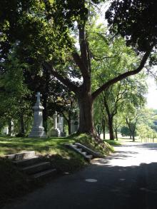 Cimetière Notre-Dame-des-Neiges