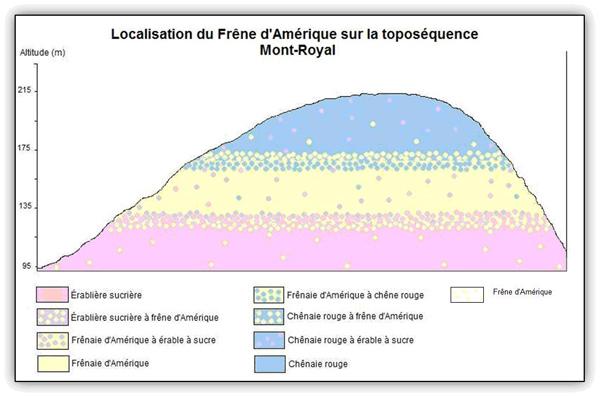 Localisation du Frêne  d'Amérique sur la toposéquence Mont-Royal.