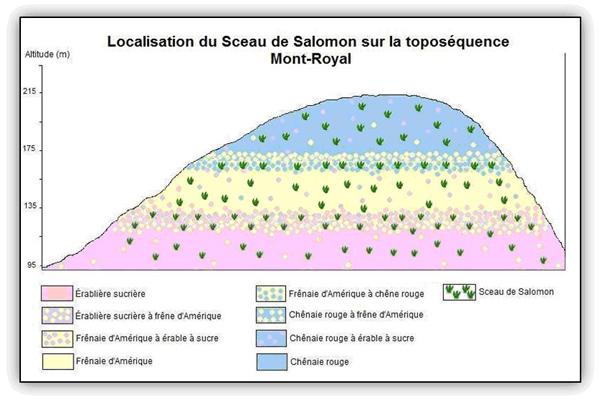 Localisation du Sceau de Salomon sur la toposéquence du Mont-Royal