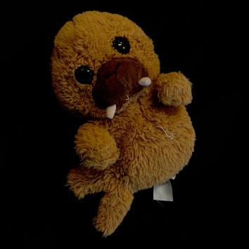 Peluche