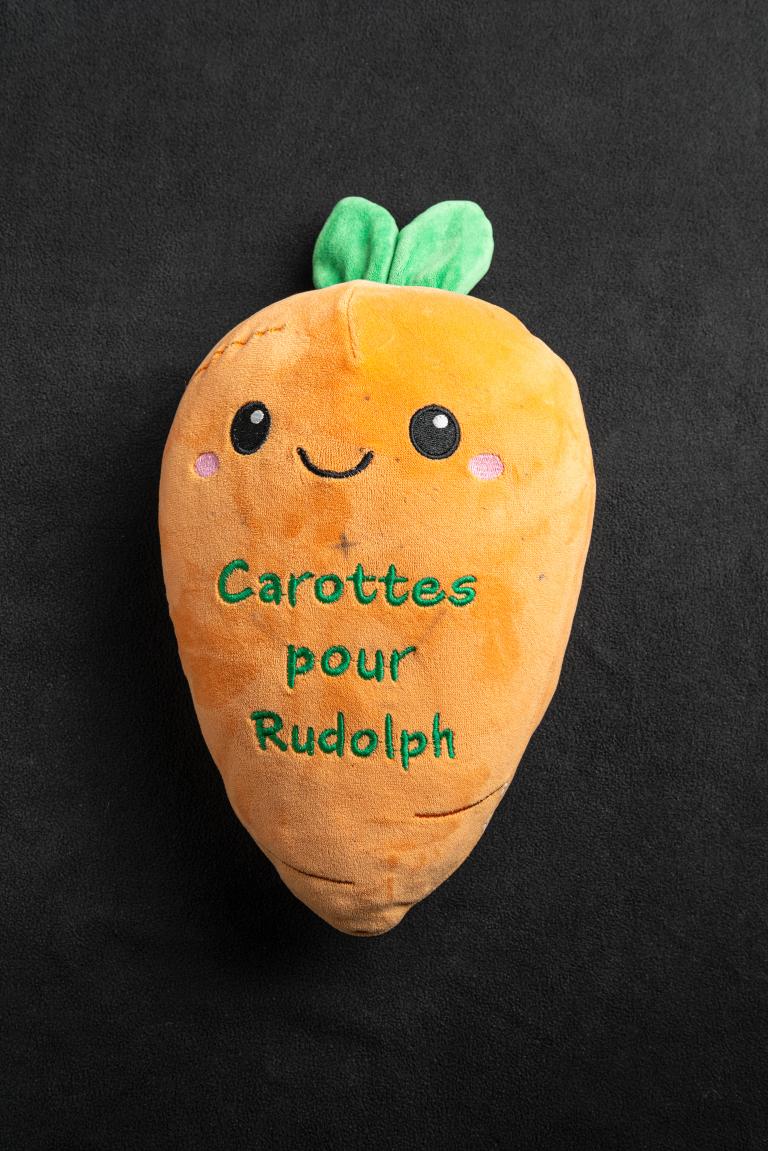 sites/default/files/private Peluche carotte